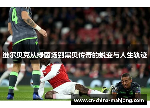 维尔贝克从绿茵场到黑贝传奇的蜕变与人生轨迹 维尔贝克从绿茵场到黑贝传奇的蜕变与人生轨迹