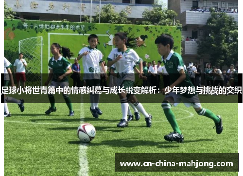 足球小将世青篇中的情感纠葛与成长蜕变解析：少年梦想与挑战的交织