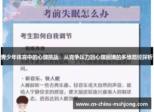 青少年体育中的心理挑战:从竞争压力到心理困境的多维路径探析 青少年体育中的心理挑战:从竞争压力到心理困境的多维路径探析