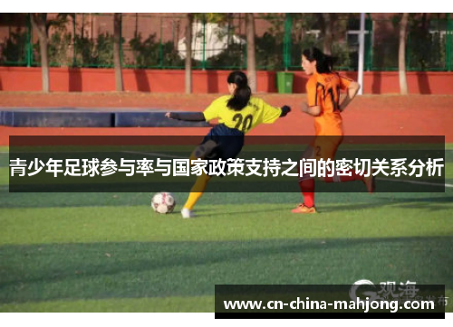 青少年足球参与率与国家政策支持之间的密切关系分析 青少年足球参与率与国家政策支持之间的密切关系分析
